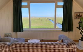 Amsterdam Garden Studio